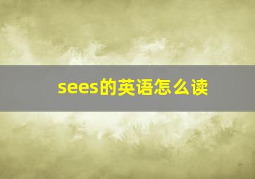 sees的英语怎么读