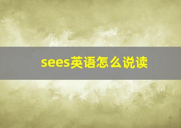 sees英语怎么说读