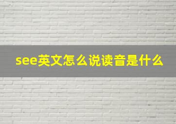 see英文怎么说读音是什么