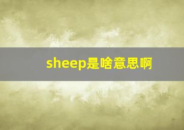 sheep是啥意思啊