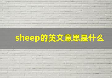 sheep的英文意思是什么