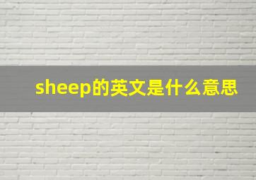 sheep的英文是什么意思