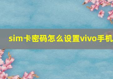 sim卡密码怎么设置vivo手机