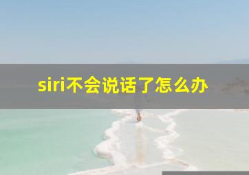 siri不会说话了怎么办