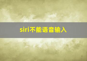 siri不能语音输入