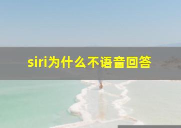 siri为什么不语音回答