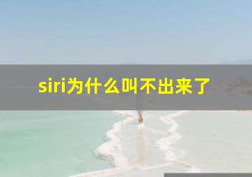 siri为什么叫不出来了