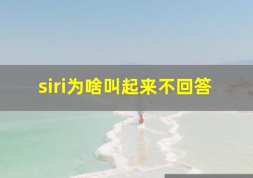 siri为啥叫起来不回答