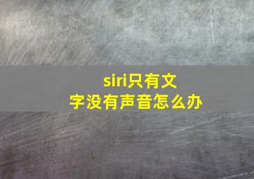 siri只有文字没有声音怎么办