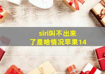 siri叫不出来了是啥情况苹果14