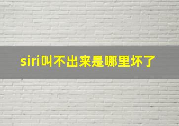 siri叫不出来是哪里坏了