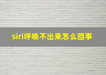 siri呼唤不出来怎么回事