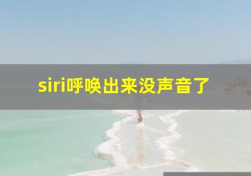 siri呼唤出来没声音了