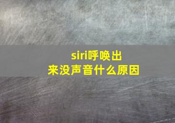 siri呼唤出来没声音什么原因