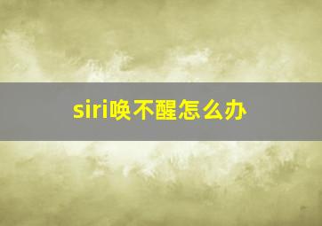 siri唤不醒怎么办