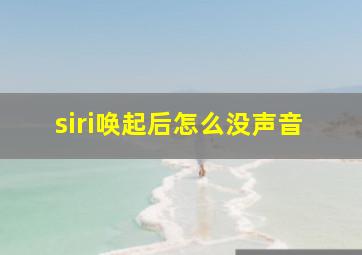 siri唤起后怎么没声音