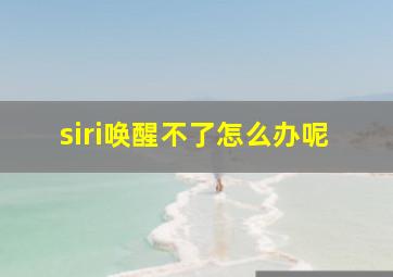 siri唤醒不了怎么办呢