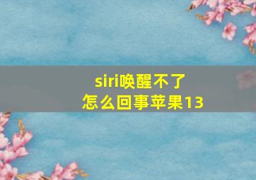 siri唤醒不了怎么回事苹果13