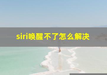 siri唤醒不了怎么解决