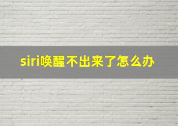 siri唤醒不出来了怎么办