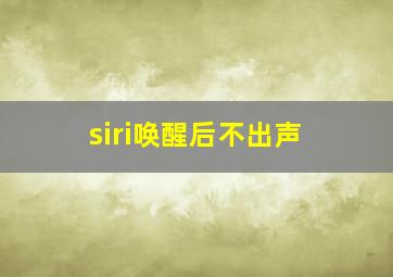 siri唤醒后不出声