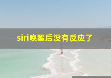 siri唤醒后没有反应了