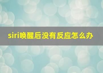 siri唤醒后没有反应怎么办