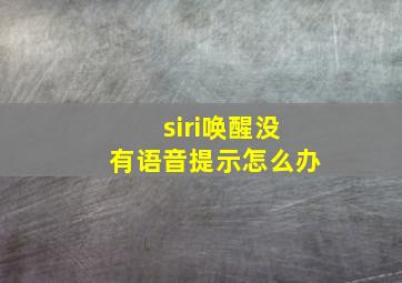 siri唤醒没有语音提示怎么办