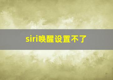 siri唤醒设置不了