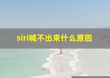 siri喊不出来什么原因