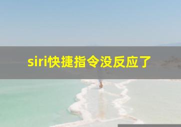 siri快捷指令没反应了