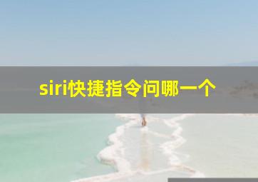 siri快捷指令问哪一个