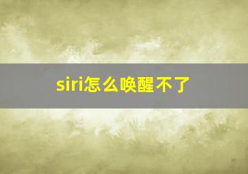 siri怎么唤醒不了