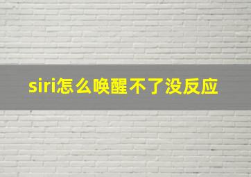 siri怎么唤醒不了没反应