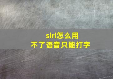 siri怎么用不了语音只能打字