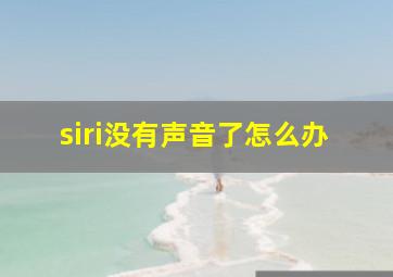 siri没有声音了怎么办