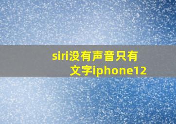 siri没有声音只有文字iphone12