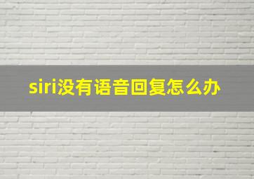 siri没有语音回复怎么办