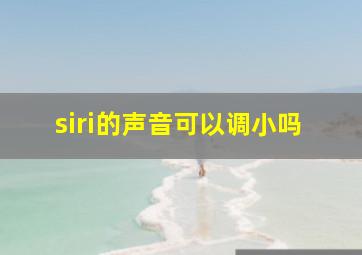 siri的声音可以调小吗