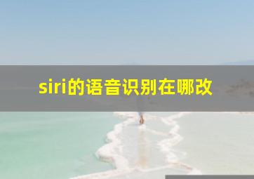 siri的语音识别在哪改