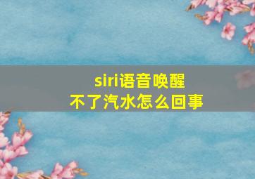 siri语音唤醒不了汽水怎么回事