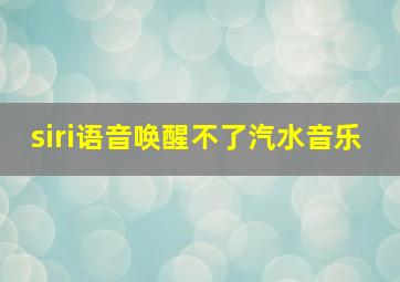 siri语音唤醒不了汽水音乐