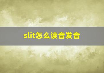 slit怎么读音发音