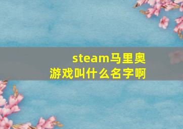 steam马里奥游戏叫什么名字啊