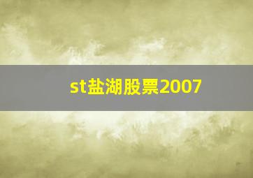 st盐湖股票2007