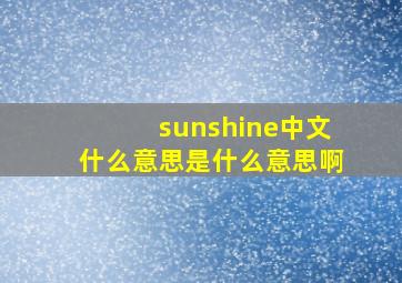 sunshine中文什么意思是什么意思啊