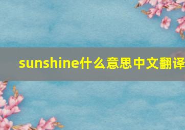 sunshine什么意思中文翻译