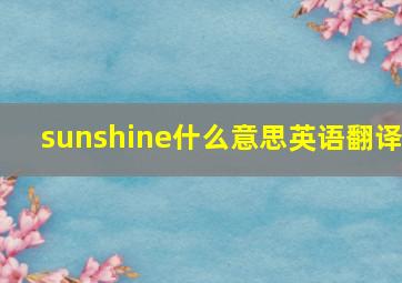 sunshine什么意思英语翻译