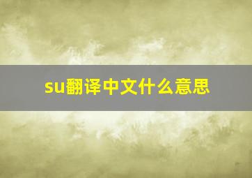 su翻译中文什么意思