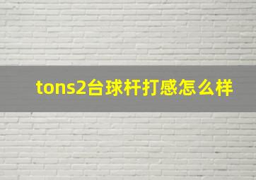 tons2台球杆打感怎么样